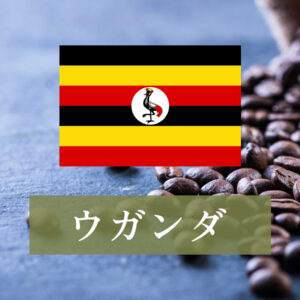 ウガンダ ルウェンゾリ ドンキー アフリカンムーン ナチュラル A 200g※送料込み※
