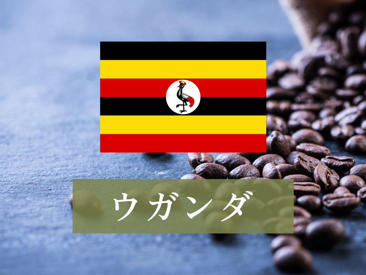 ウガンダ ルウェンゾリ ドンキー アフリカンムーン ナチュラル A 200g※送料込み※